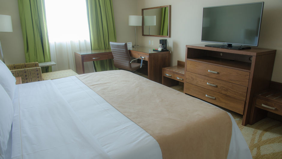 Holiday Inn Express & Suites Celaya Room