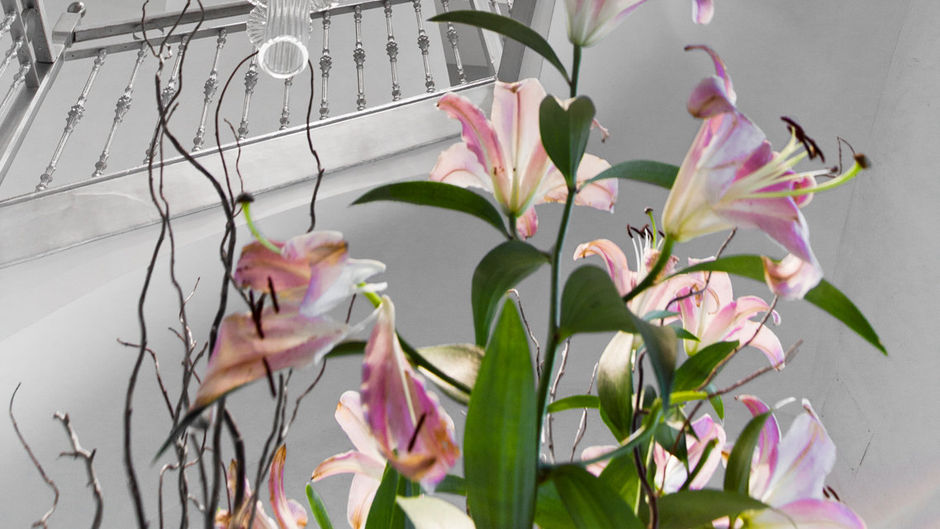 Sant Pere del Bosc Hotel & Spa Lobby