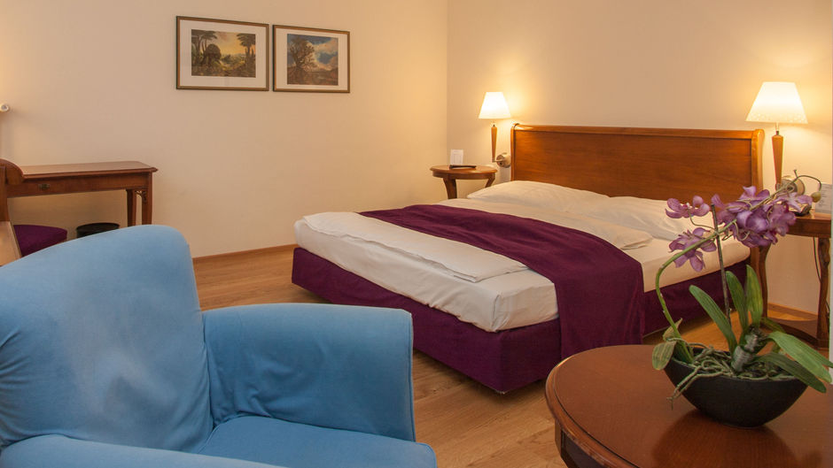 Boutique Hotel Hauser Room