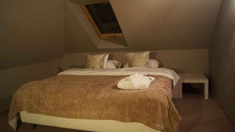Hotel Arte-Brzeg Room