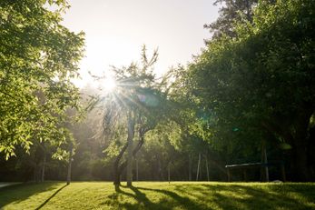 Dawn Ranch