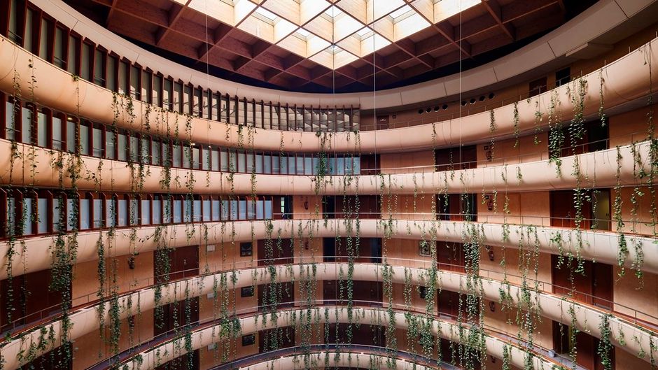 Hotel Don Candido Other