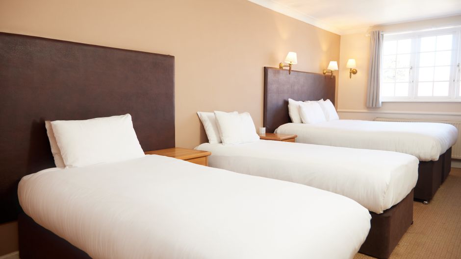 Bear Hotel Room