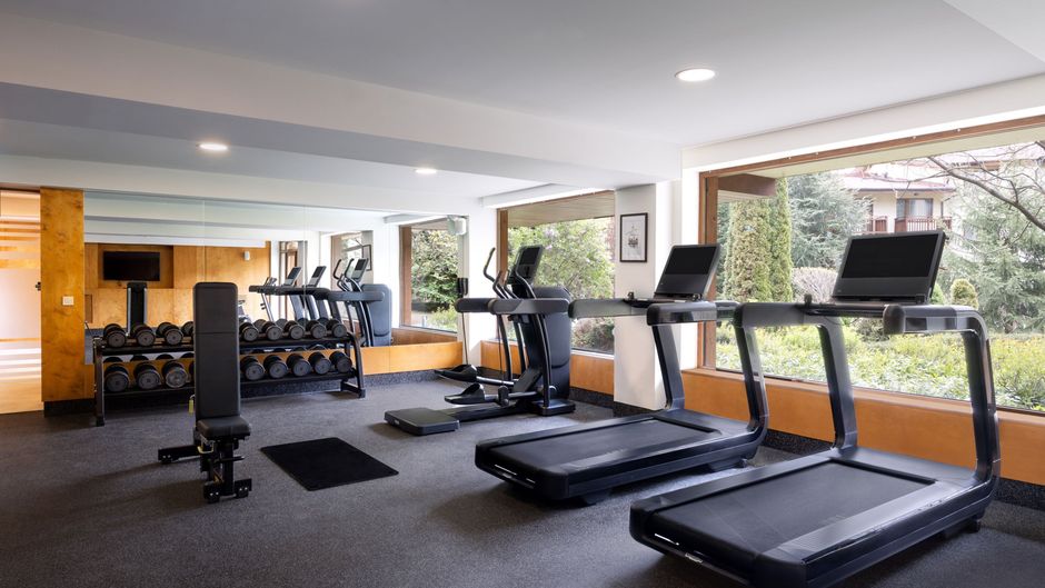 Four Points by Sheraton Bansko Recreation