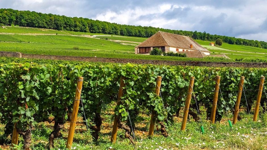 Voco Beaune Other