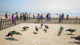 <b>voco Lianyungang Haizhou Bay Other</b>. Virtual Tours powered by <a href="https://www.leonardoworldwide.com/" title="Leonardo Worldwide" target="_blank">Leonardo</a>.