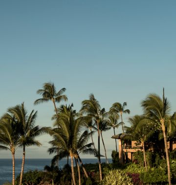 Four Seasons Resort Lanai