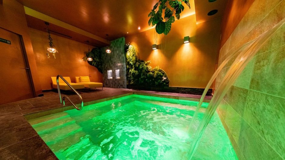 Hotel Alex Pool