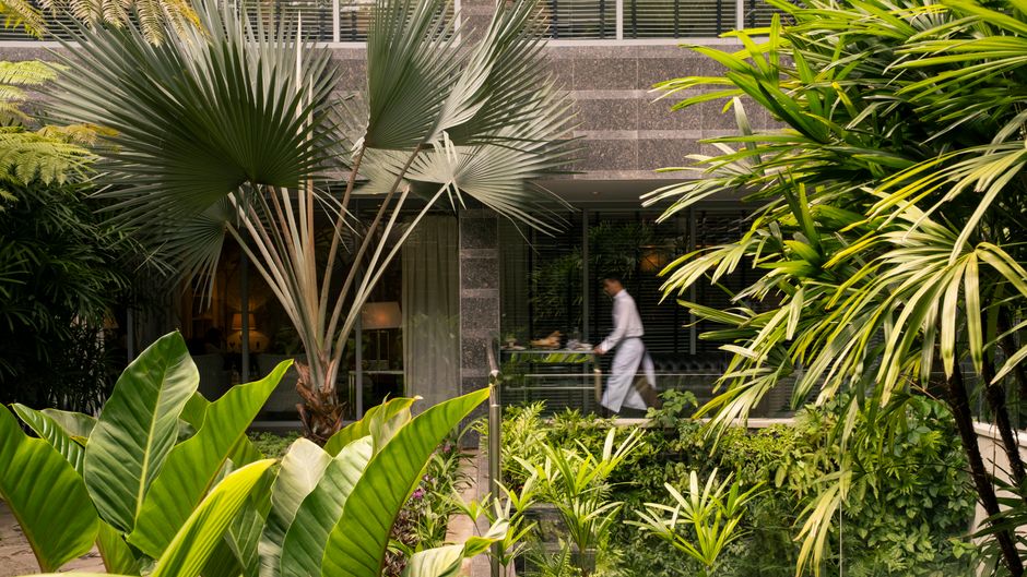 Cayena Caracas Exterior