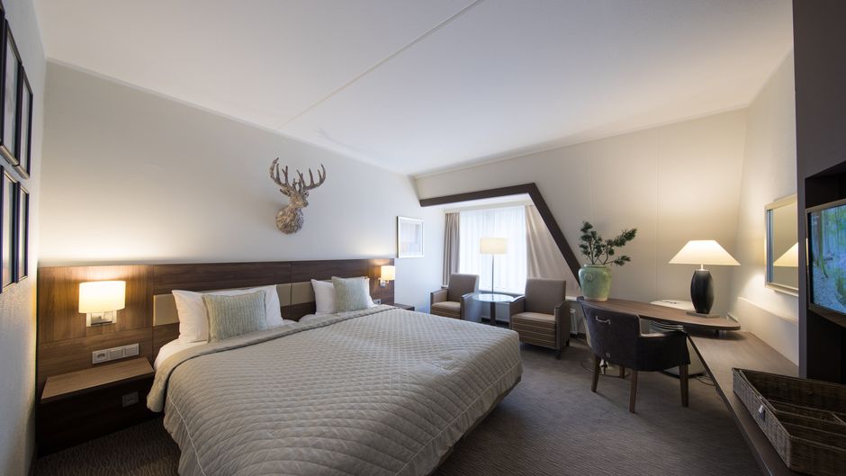 Bilderberg Hotel T'Speulderbos Room