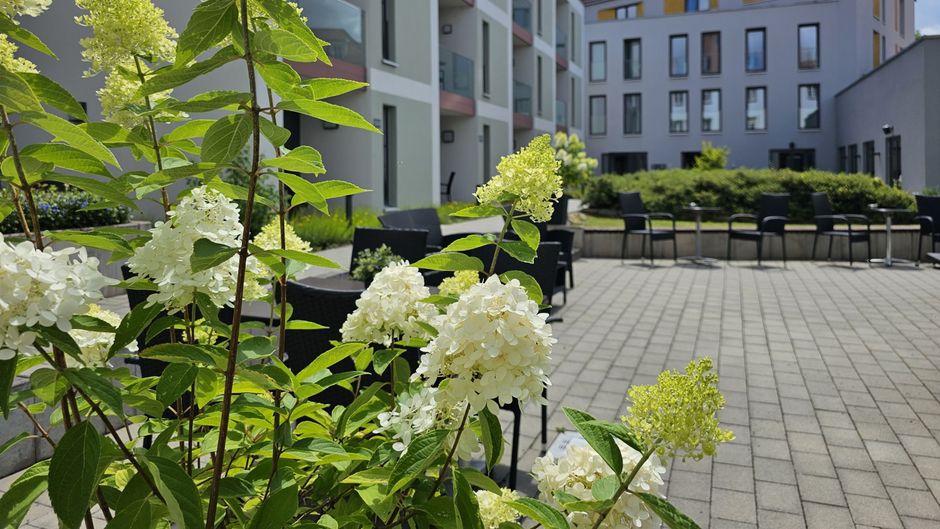 Hotel Am Kaisersaal Exterior