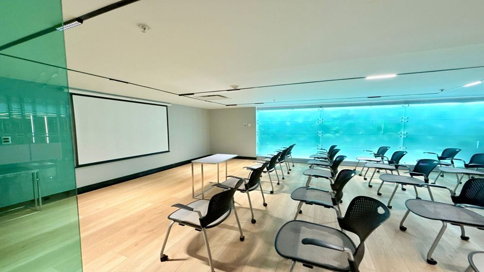 Holiday Inn Express Galerias Meeting