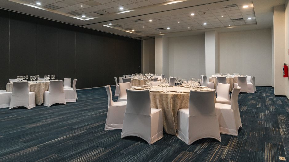 Holiday Inn Patria-Universidad Ballroom