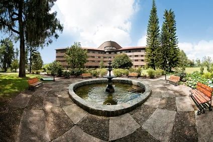 Movich Hotel Las Lomas