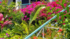 Grand Case Beach Club
