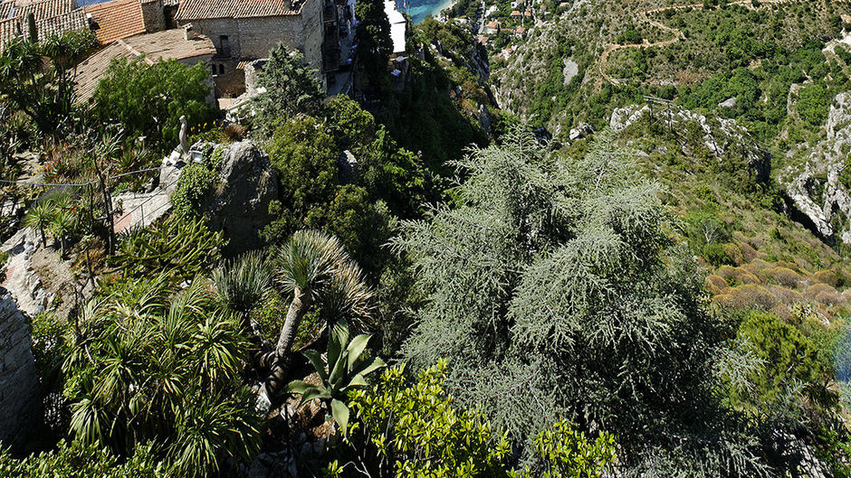 Le Chateau Eza Exterior