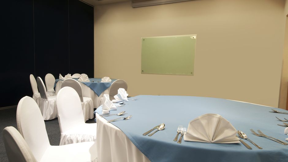 Fiesta Inn Cuernavaca Meeting