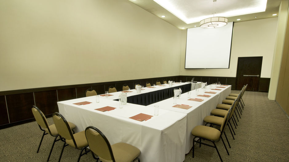 Fiesta Inn Ciudad Obregon Meeting