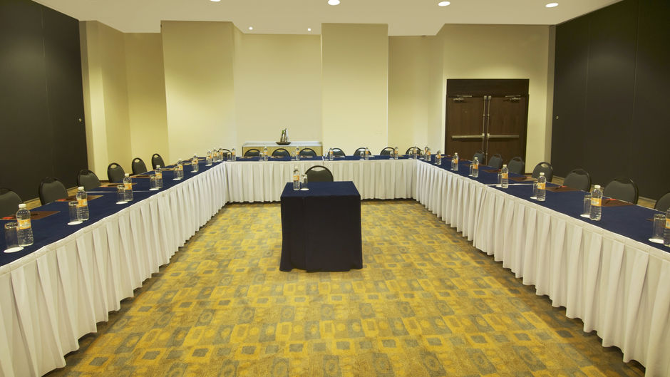 Fiesta Inn Insurgentes Sur Meeting