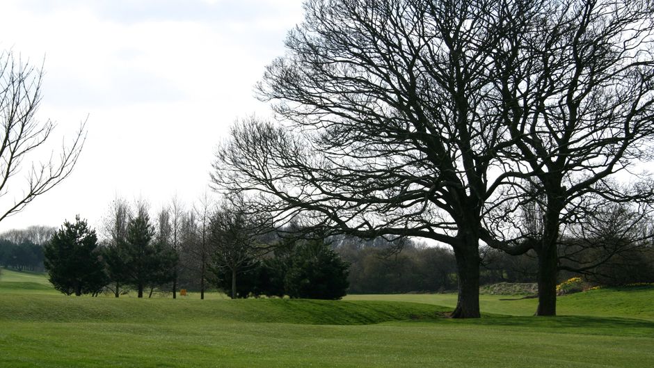 Humber Royal Hotel Golf