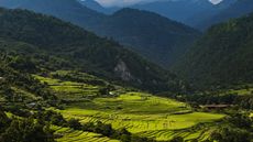 COMO Uma Punakha