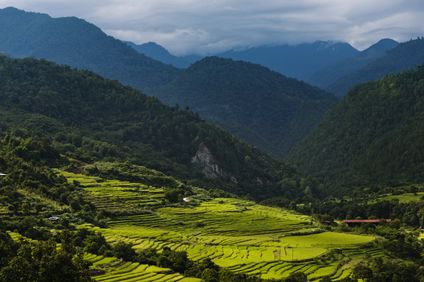 COMO Uma Punakha