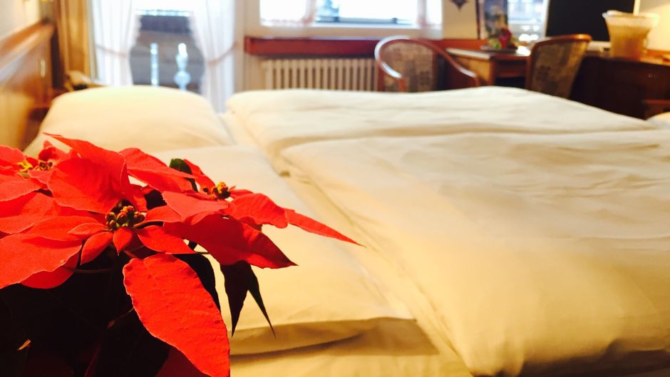 Antares Hotel Room