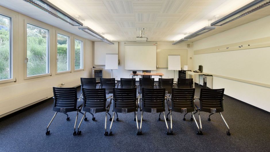 Hotel du Leman Meeting