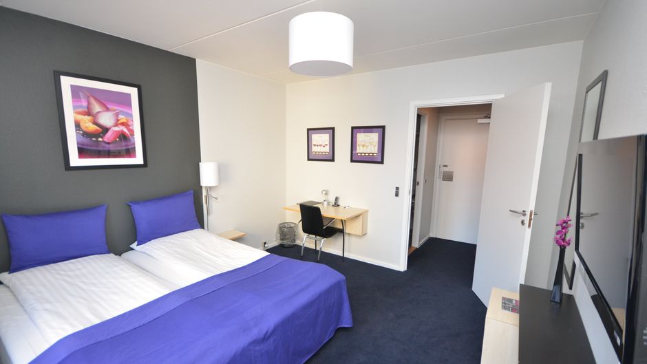 Hotel Danica Room