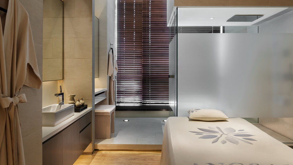 Hotel Icon Spa