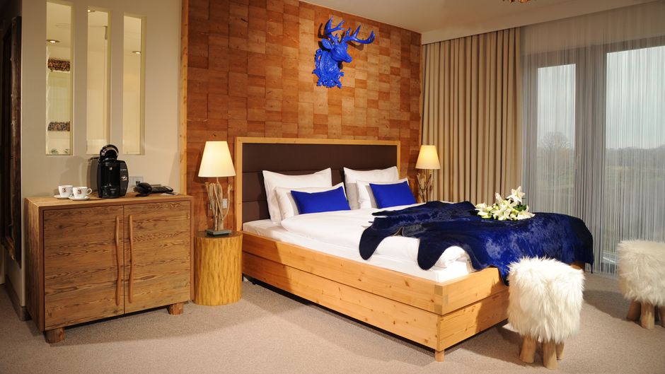 Hotel Fire & Ice Room