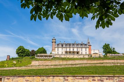 Chateau d'Isenbourg & Spa