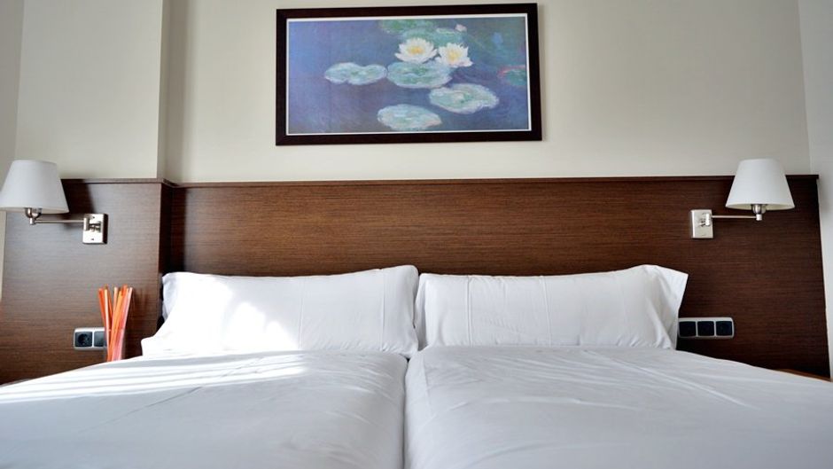Hotel Palacio De Congresos Room