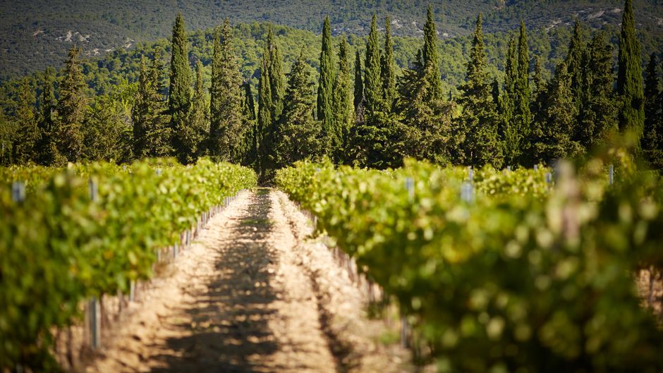 Domaine de Fontenille Exterior
