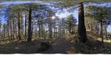 <b>Wildflower Hall an Oberoi Resort Other</b>. Virtual Tours powered by <a href="https://www.leonardoworldwide.com/" title="Leonardo Worldwide" target="_blank">Leonardo</a>.