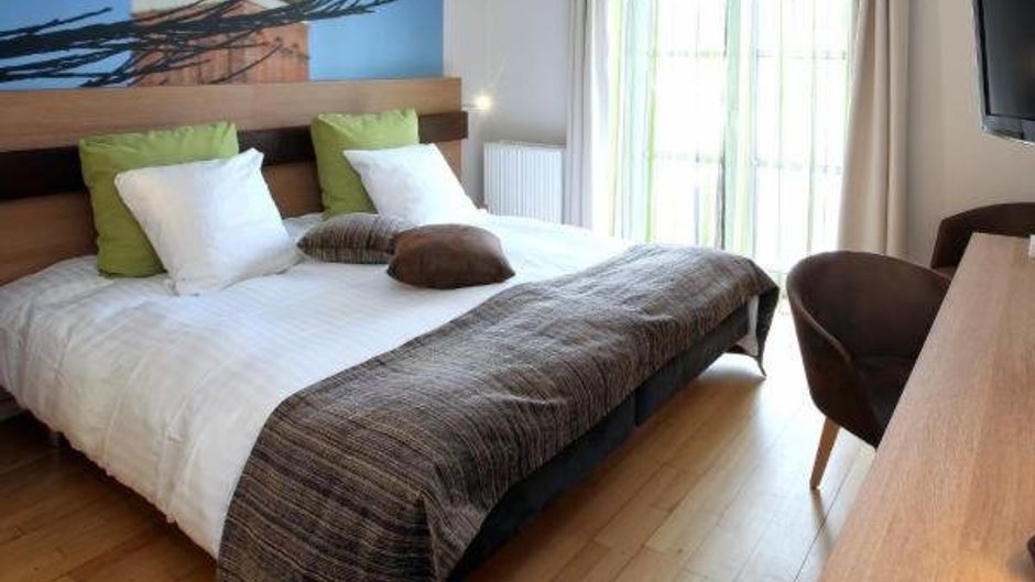 Hotel Birsko Room