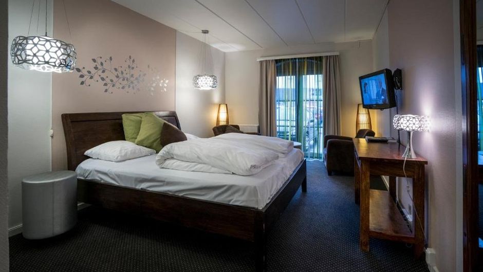 Hotel Birsko Room