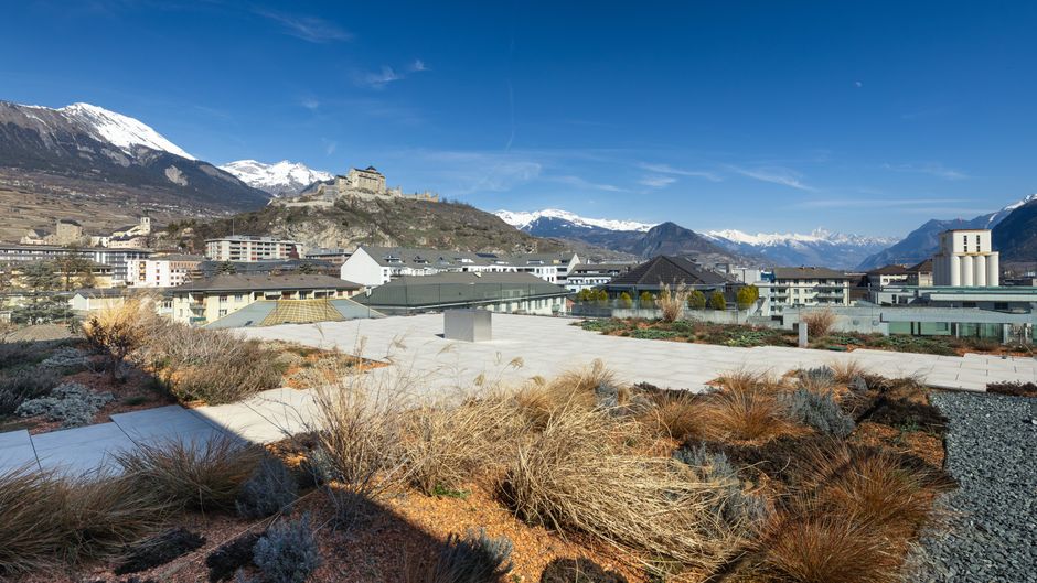Holiday Inn Exp  Suites Sion Other