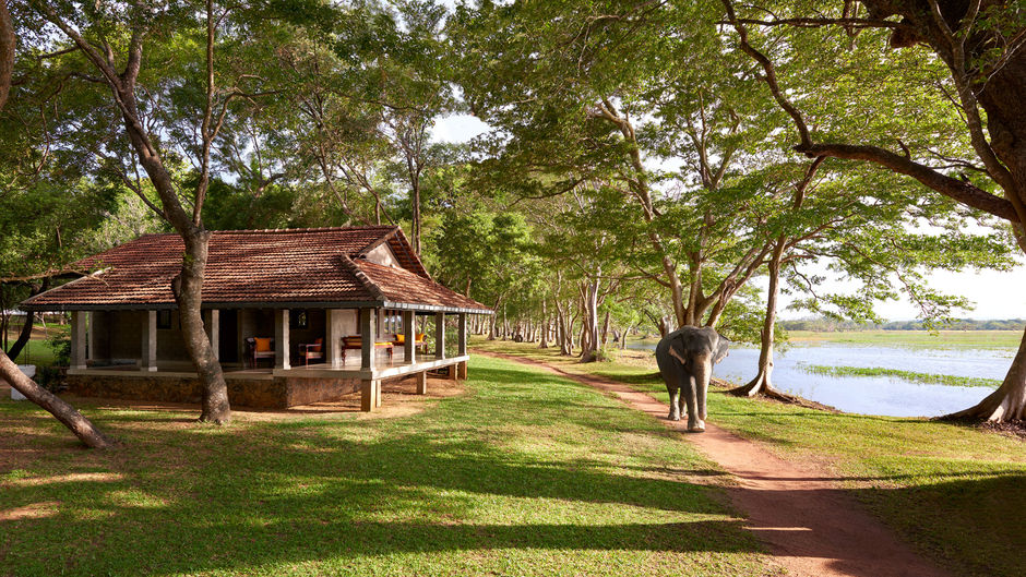 Habarana Village by Cinnamon Other