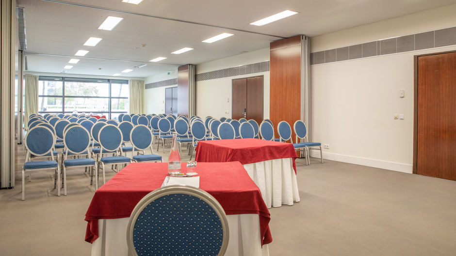 VIP Executive Art's Hotel Meeting
