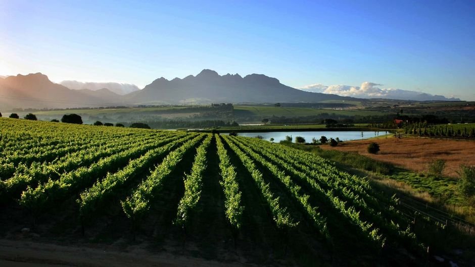 Asara Wine Estate & Hotel Other