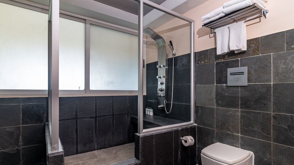 Gaia Hotel and Reserve Room