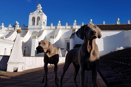 Convento do Espinheiro Resort & Spa