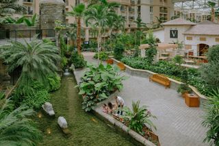 Gaylord Palms Resort & Convention Center