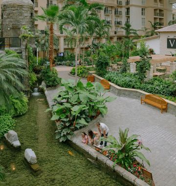 Gaylord Palms Resort & Convention Center