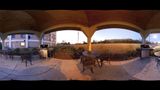 <b>Candlewood Suites Downtown Other</b>. Virtual Tours powered by <a href="https://www.leonardoworldwide.com/" title="Leonardo Worldwide" target="_blank">Leonardo</a>.