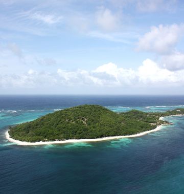 Petit St Vincent Resort