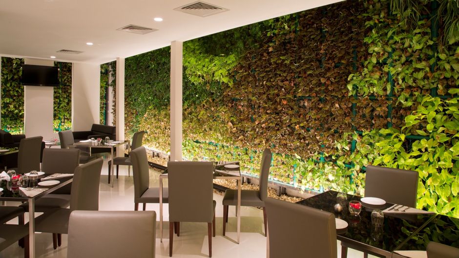 Springs Hotel & Spa Bangalore Restaurant