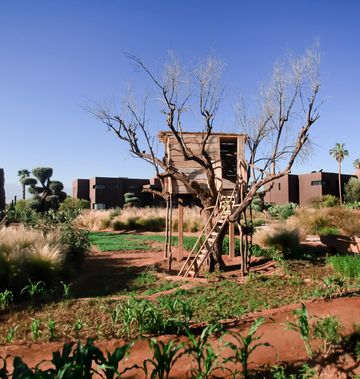 Hotel Fellah