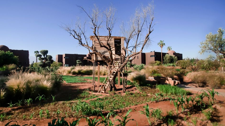 Hotel Fellah Exterior